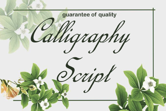 Calligraphy Script: A Graceful Typeface