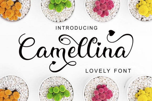 Camellina Script: A Stylish Typeface