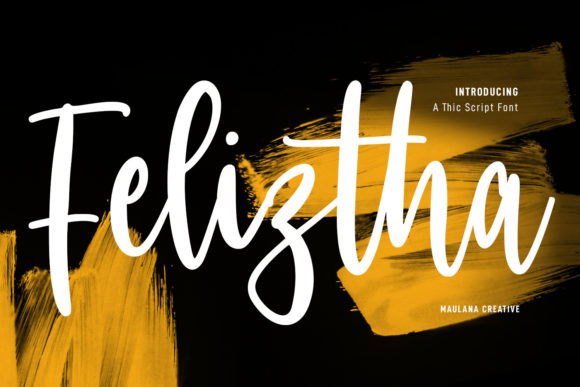 Feliztha Script: A Delicate Typeface