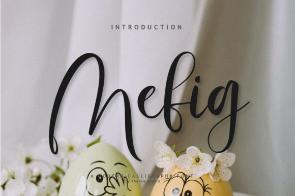 Mefig Script: A Beautiful Font for Your Business