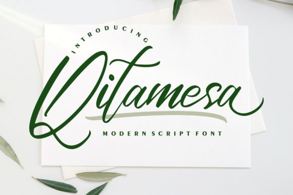 Qitamesa Script: A Beautiful Typeface